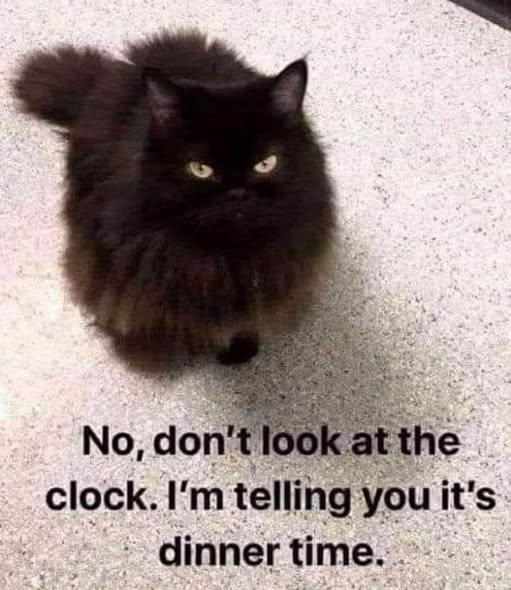 No, don't look at the clock. I'm telling you it's dinner time.