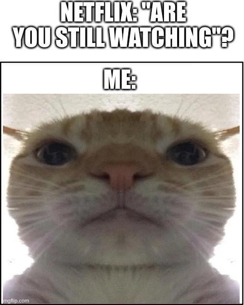 NETFLIX: "ARE YOU STILL WATCHING"? ME: mgflip.com