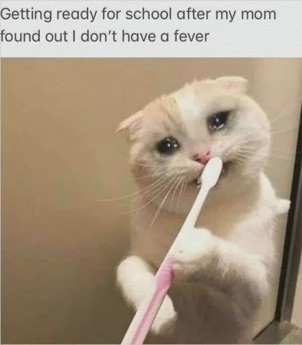 Getting ready for school after my mom found out I don't have a fever