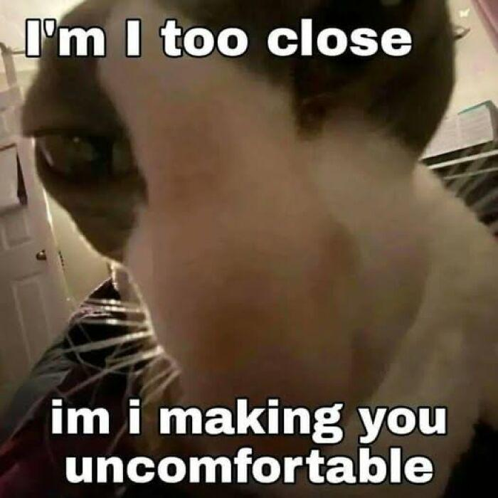 I'm I too close im i making you uncomfortable