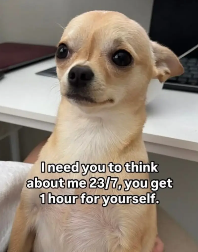 I need you to think about me 23/7, you get 1 hour for yourself.