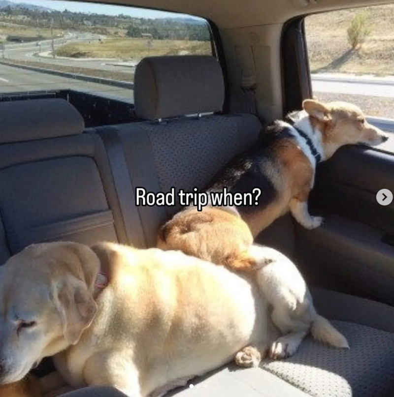 Road trip when? >