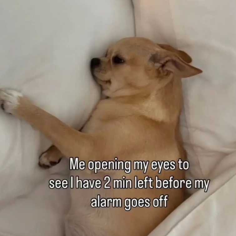 Me opening my eyes to see I have 2 min left before my alarm goes off