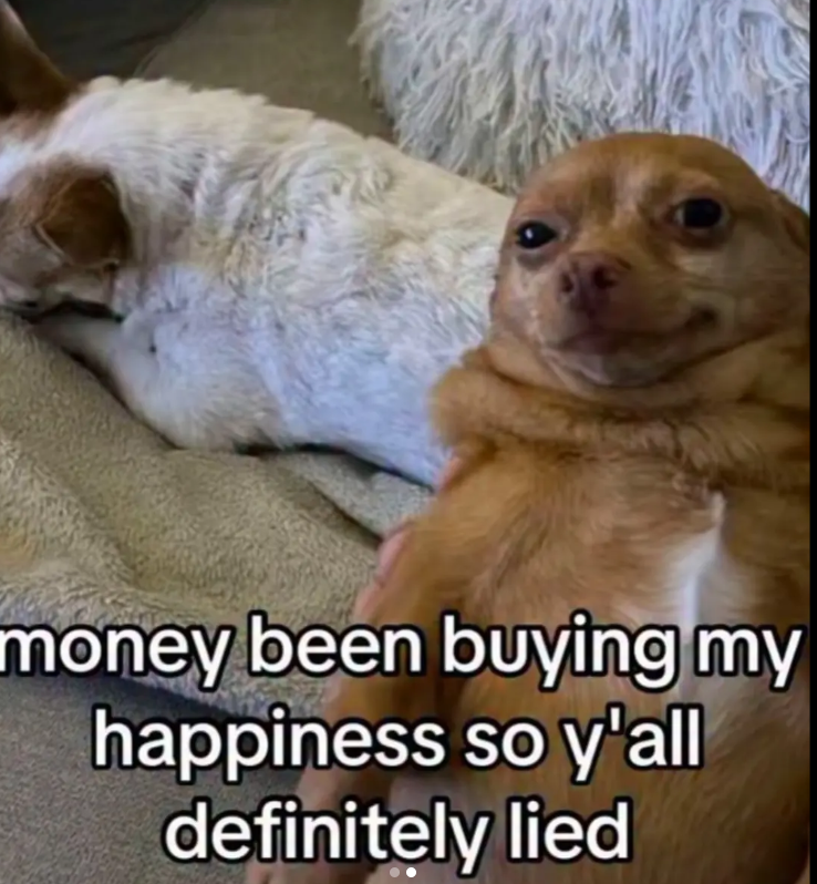 money been buying my happiness so y'all definitely lied