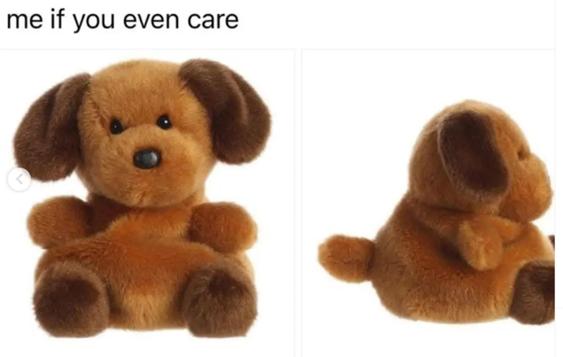 me if you even care <