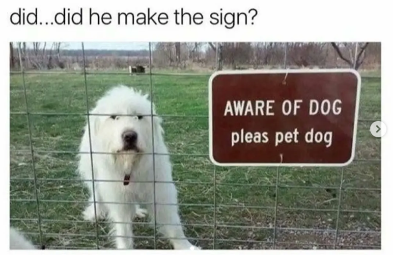 did...did he make the sign? AWARE OF DOG pleas pet dog