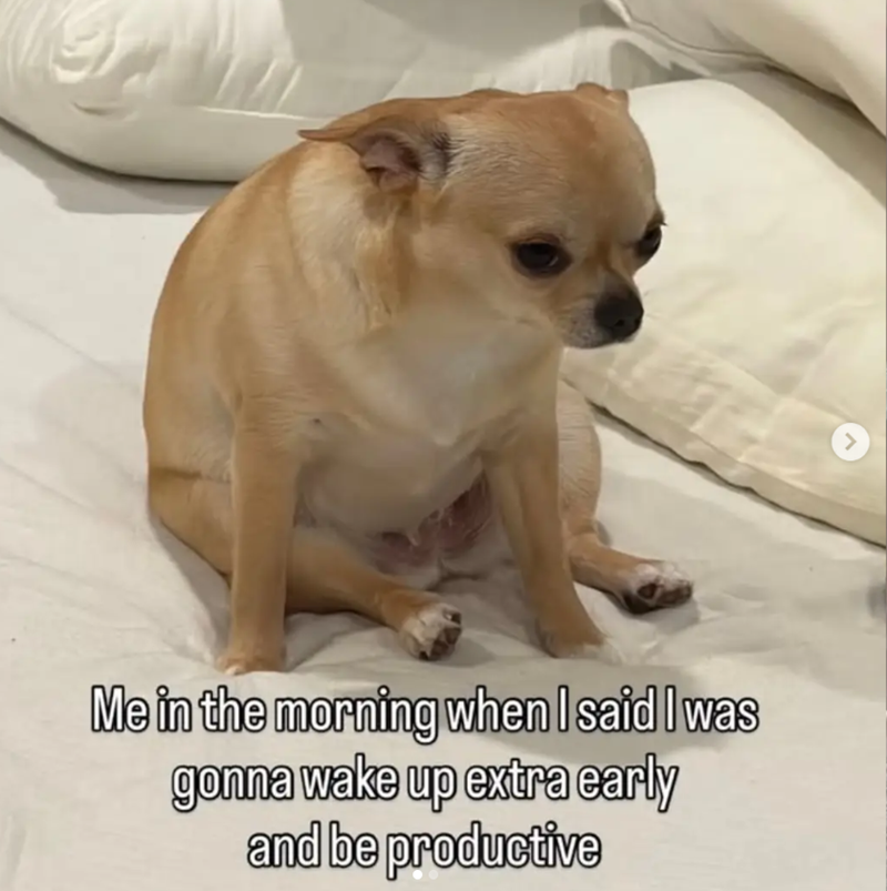 Me in the morning when I said I was gonna wake up extra early and be productive >