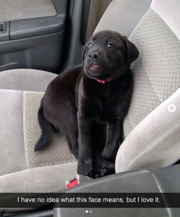 I have no idea what this face means, but I love it.