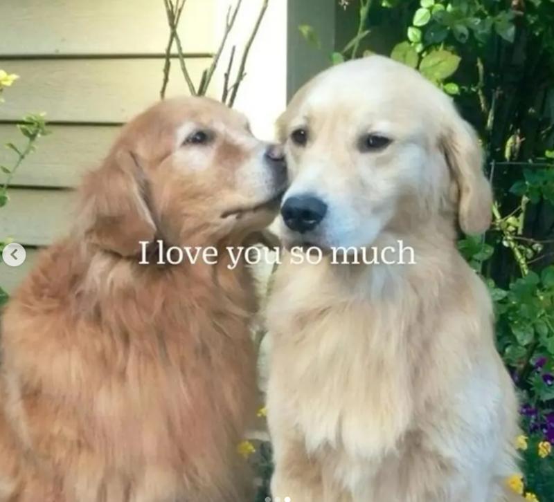 < I love you so much