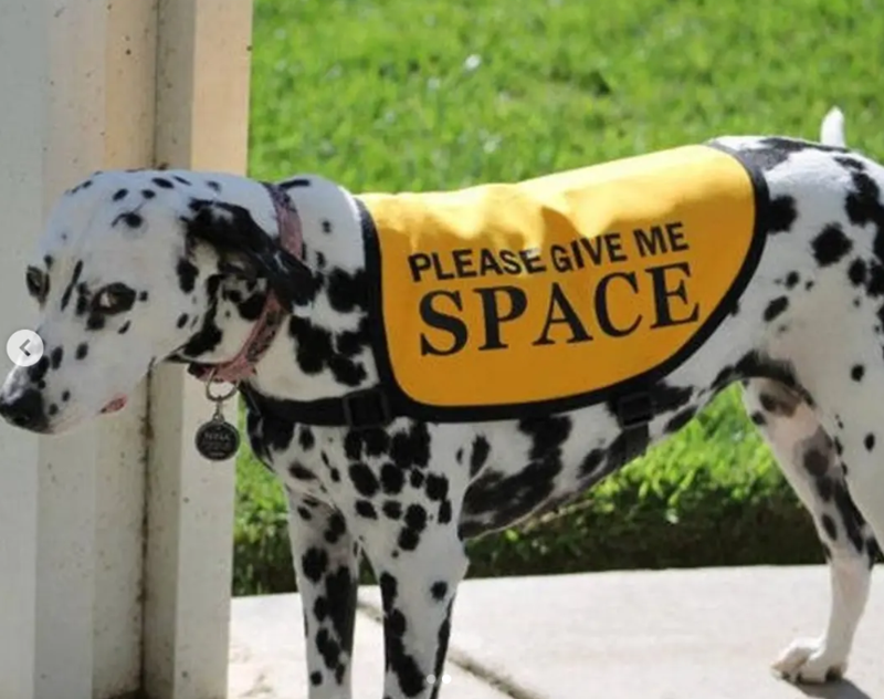 < he PLEASE GIVE ME SPACE