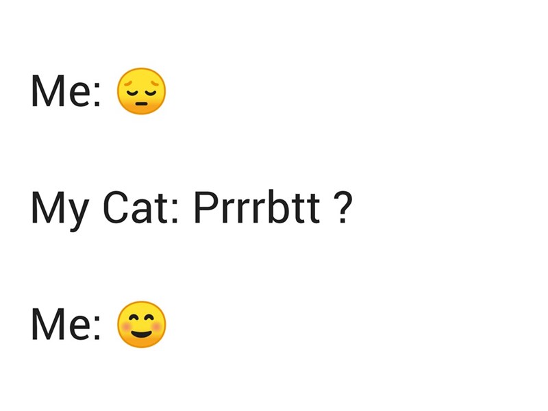 Me: My Cat: Prrrbtt? Me: