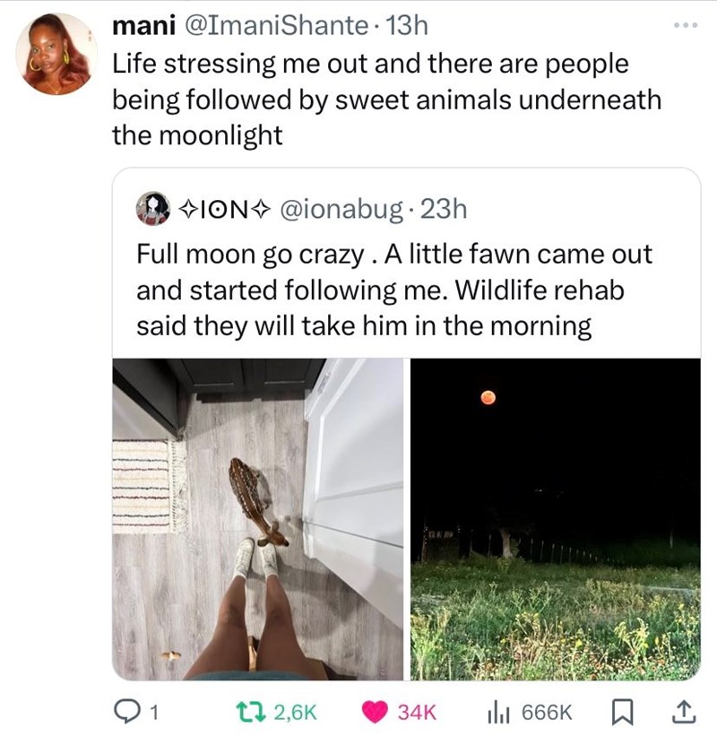 mani @ImaniShante. 13h Life stressing me out and there are people being followed by sweet animals underneath the moonlight ION @ionabug. 23h Full moon go crazy. A little fawn came out and started following me. Wildlife rehab said they will take him in the morning Q1 t 2,6K 34K IIII 666K ☐ 1