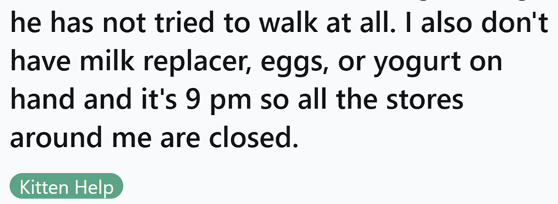 he has not tried to walk at all. I also don't have milk replacer, eggs, or yogurt on hand and it's 9 pm so all the stores around me are closed. Kitten Help