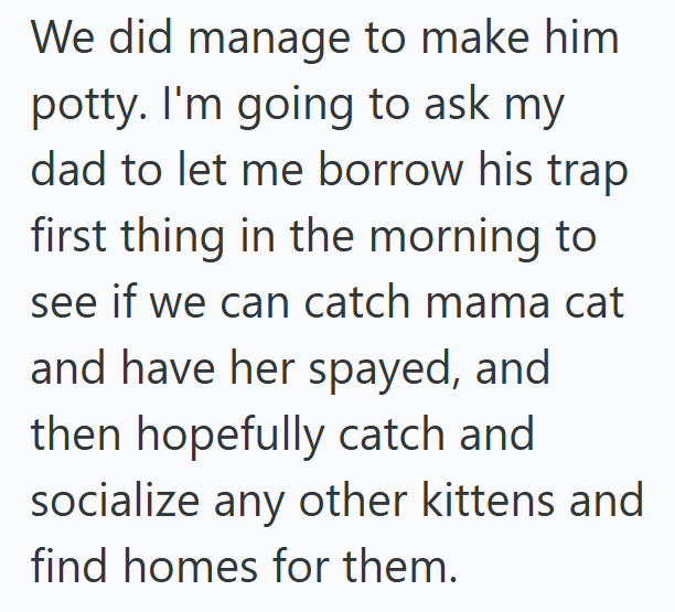 We did manage to make him potty. I'm going to ask my dad to let me borrow his trap first thing in the morning to see if we can catch mama cat and have her spayed, and then hopefully catch and socialize any other kittens and find homes for them.