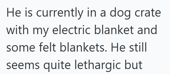He is currently in a dog crate with my electric blanket and some felt blankets. He still seems quite lethargic but