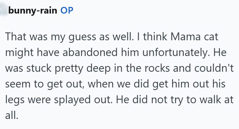 bunny-rain OP That was my guess as well. I think Mama cat might have abandoned him unfortunately. He was stuck pretty deep in the rocks and couldn't seem to get out, when we did get him out his legs were splayed out. He did not try to walk at all.