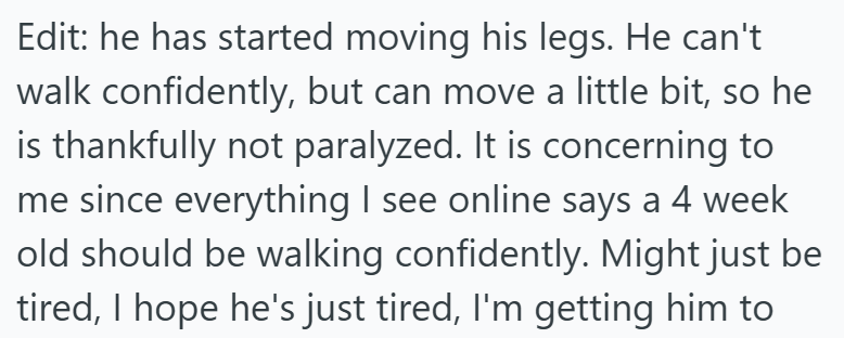 Edit: he has started moving his legs. He can't walk confidently, but can move a little bit, so he is thankfully not paralyzed. It is concerning to me since everything I see online says a 4 week old should be walking confidently. Might just be tired, I hope he's just tired, I'm getting him to