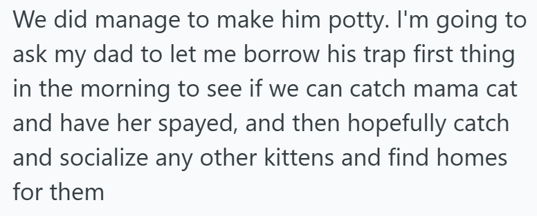 We did manage to make him potty. I'm going to ask my dad to let me borrow his trap first thing in the morning to see if we can catch mama cat and have her spayed, and then hopefully catch and socialize any other kittens and find homes for them