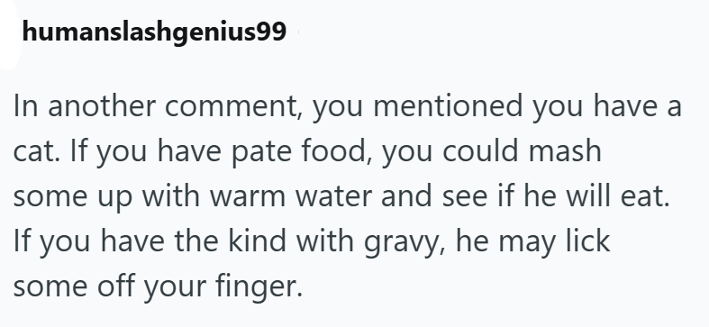 humanslashgenius99 In another comment, you mentioned you have a cat. If you have pate food, you could mash some up with warm water and see if he will eat. If you have the kind with gravy, he may lick some off your finger.