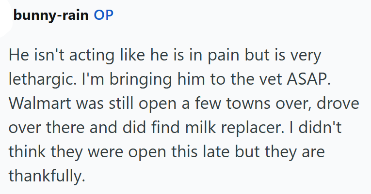 bunny-rain OP He isn't acting like he is in pain but is very lethargic. I'm bringing him to the vet ASAP. Walmart was still open a few towns over, drove over there and did find milk replacer. I didn't think they were open this late but they are thankfully.