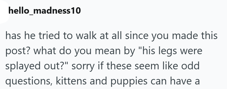 hello_madness 10 has he tried to walk at all since you made this post? what do you mean by "his legs were splayed out?" sorry if these seem like odd questions, kittens and puppies can have a