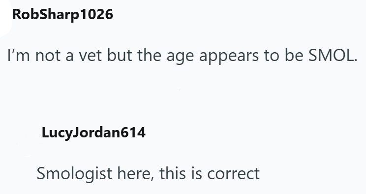 RobSharp 1026 I'm not a vet but the age appears to be SMOL. LucyJordan614 Smologist here, this is correct