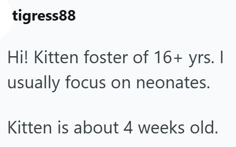 tigress88 Hi! Kitten foster of 16+ yrs. I usually focus on neonates. Kitten is about 4 weeks old.