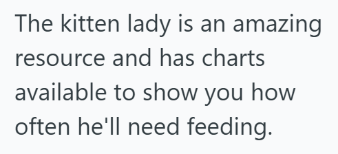 The kitten lady is an amazing resource and has charts available to show you how often he'll need feeding.