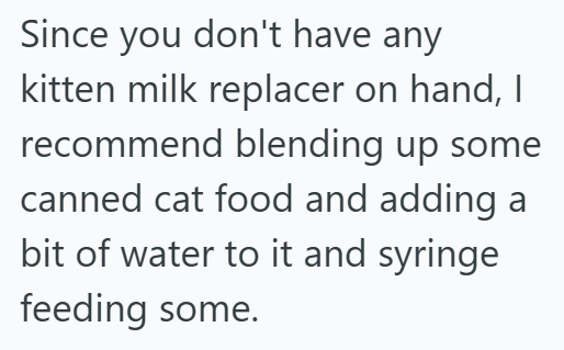 Since you don't have any kitten milk replacer on hand, I recommend blending up some canned cat food and adding a bit of water to it and syringe feeding some.
