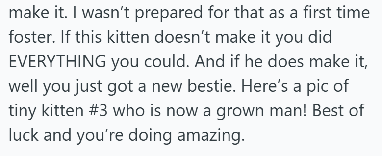 make it. I wasn't prepared for that as a first time foster. If this kitten doesn't make it you did EVERYTHING you could. And if he does make it, well you just got a new bestie. Here's a pic of tiny kitten #3 who is now a grown man! Best of luck and you're doing amazing.