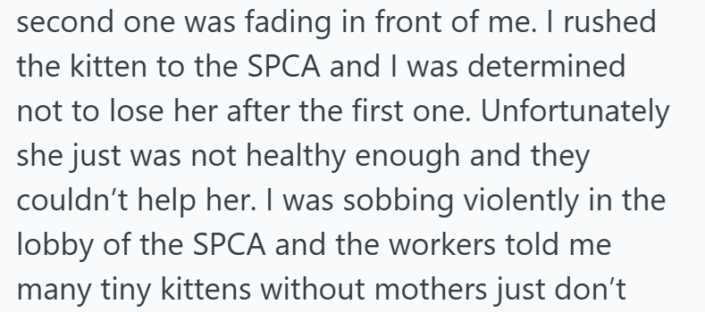 second one was fading in front of me. I rushed the kitten to the SPCA and I was determined not to lose her after the first one. Unfortunately she just was not healthy enough and they couldn't help her. I was sobbing violently in the lobby of the SPCA and the workers told me many tiny kittens without mothers just don't