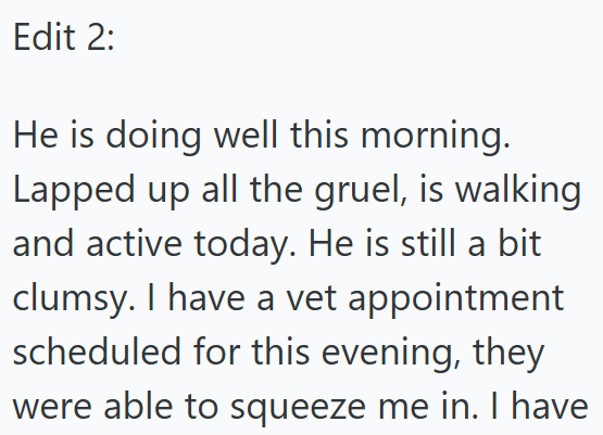 Edit 2: He is doing well this morning. Lapped up all the gruel, is walking and active today. He is still a bit clumsy. I have a vet appointment scheduled for this evening, they were able to squeeze me in. I have