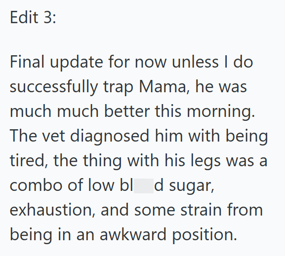 Edit 3: Final update for now unless I do successfully trap Mama, he was much much better this morning. The vet diagnosed him with being tired, the thing with his legs was a combo of low bl d sugar, exhaustion, and some strain from being in an awkward position.