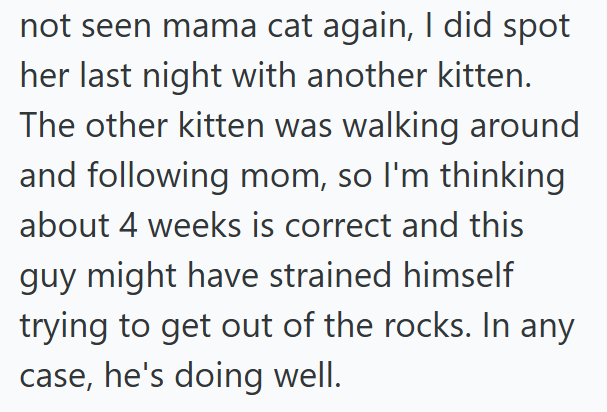 not seen mama cat again, I did spot her last night with another kitten. The other kitten was walking around and following mom, so I'm thinking about 4 weeks is correct and this guy might have strained himself trying to get out of the rocks. In any case, he's doing well.