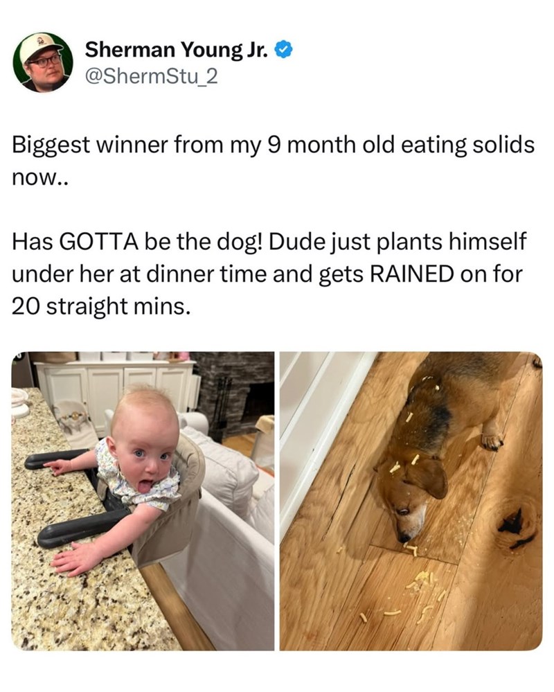 Sherman Young Jr. ❤ @ShermStu_2 Biggest winner from my 9 month old eating solids now.. Has GOTTA be the dog! Dude just plants himself under her at dinner time and gets RAINED on for 20 straight mins.