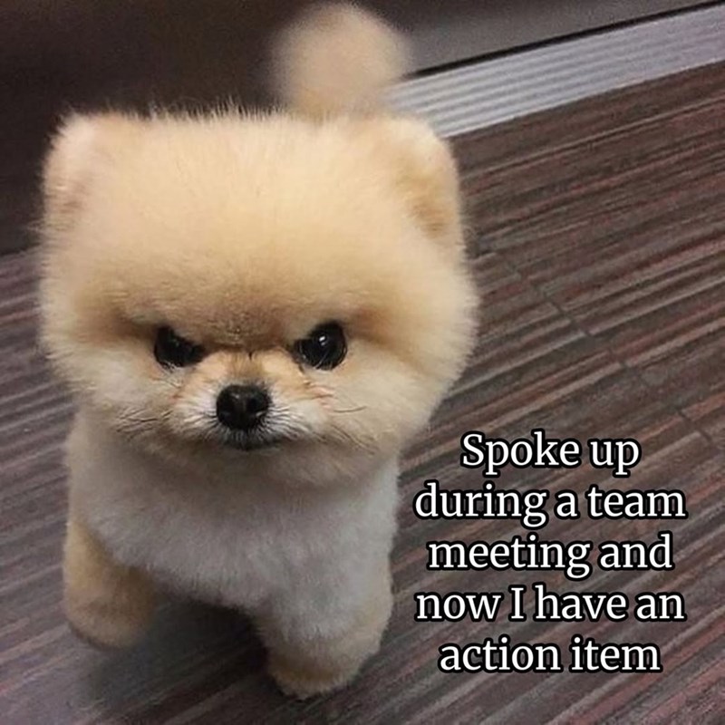 Spoke up during a team meeting and now I have an action item