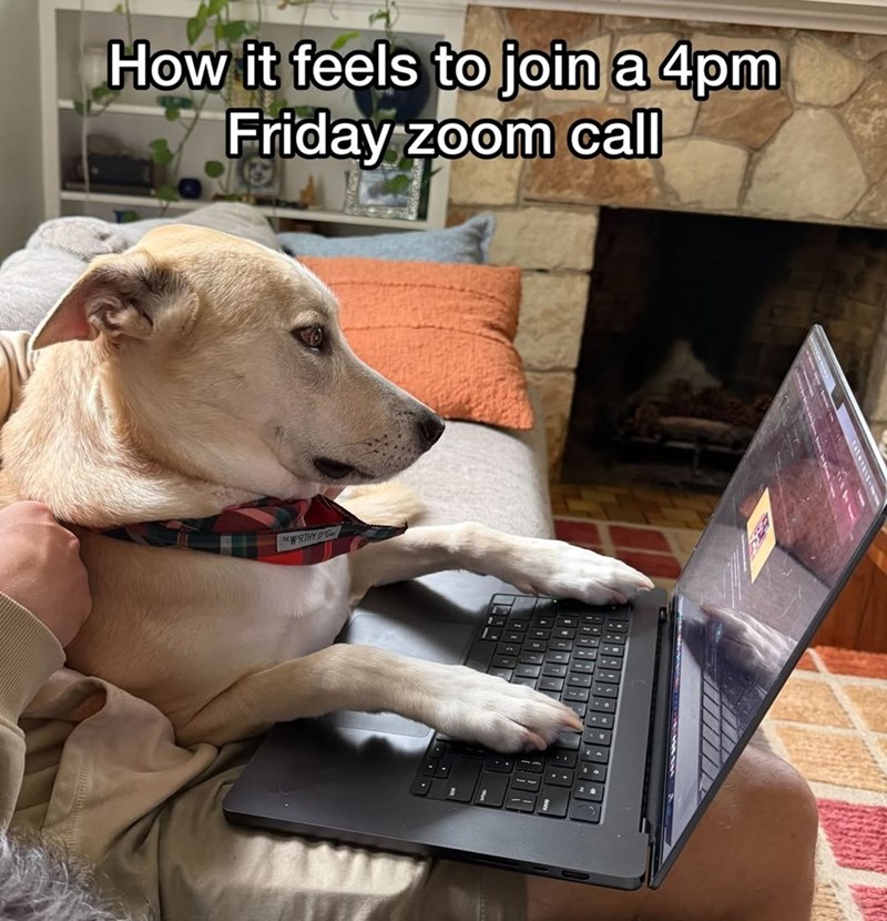 How it feels to join a 4pm Friday zoom call WORTHY D'G