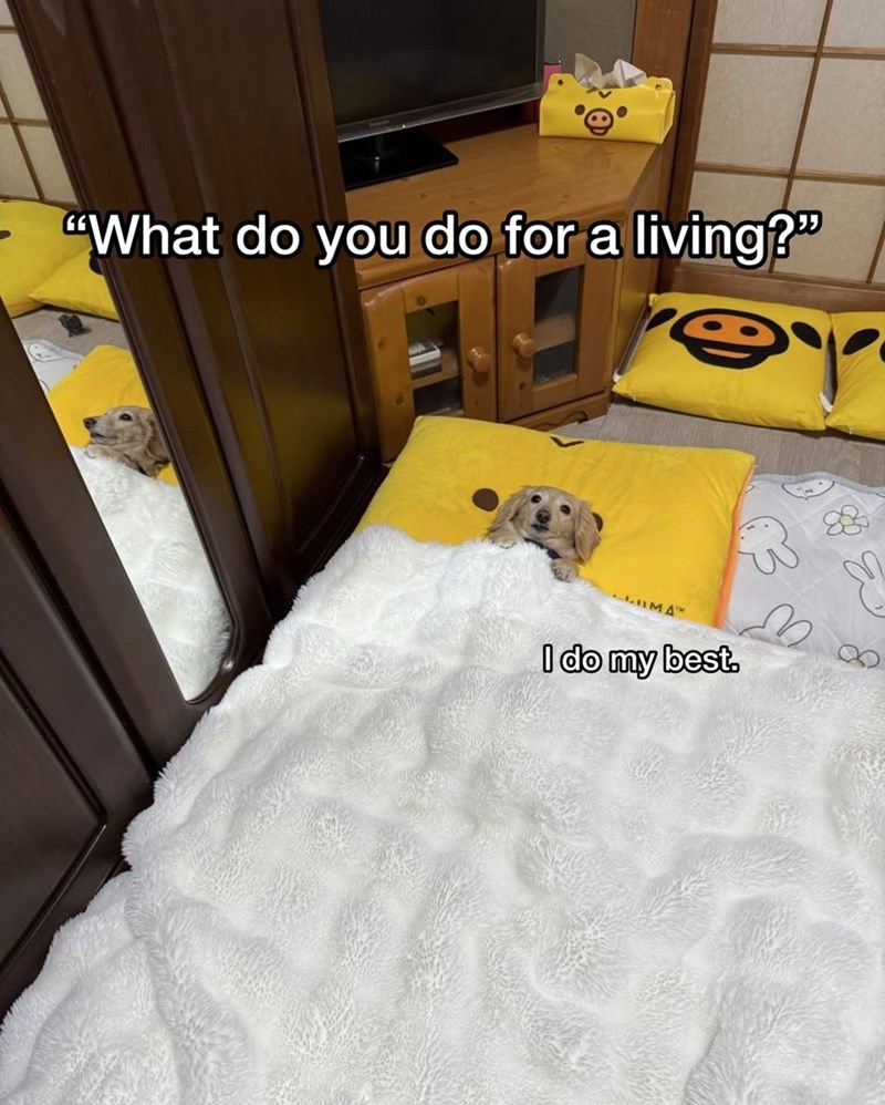 "What do you do for a living?" CLIMAT I do my best.