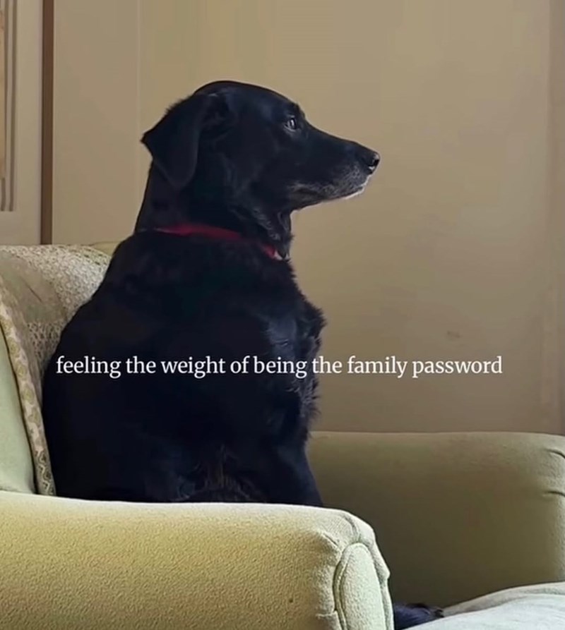 feeling the weight of being the family password