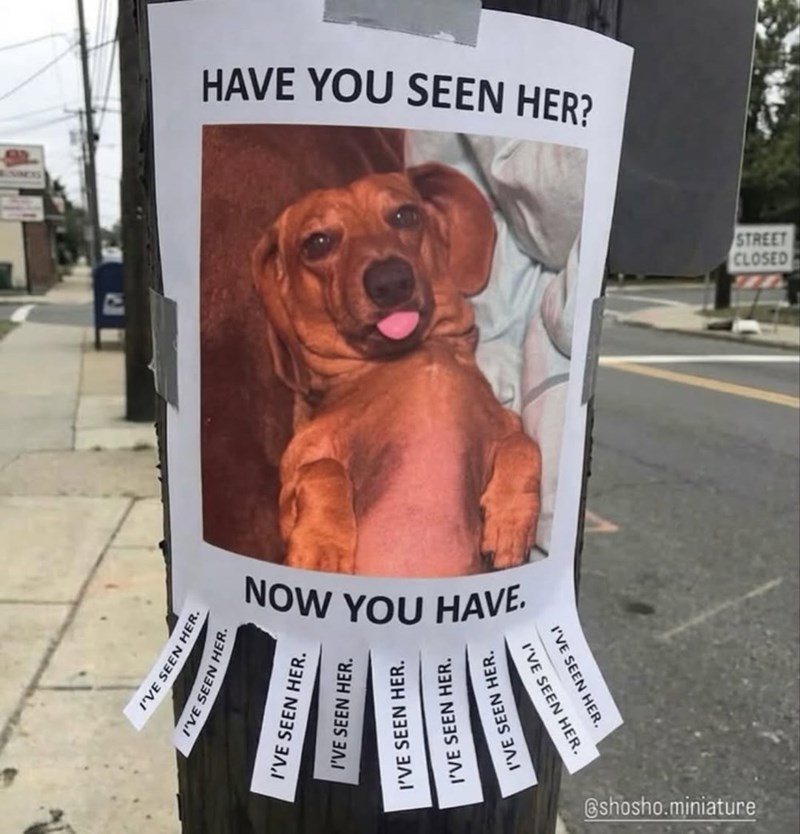 I'VE SEEN HER. I'VE SEEN HER. HAVE YOU SEEN HER? NOW YOU HAVE. I'VE SEEN HER. I'VE SEEN HER. I'VE SEEN HER. I'VE SEEN HER. I'VE SEEN HER. I'VE SEEN HER. I'VE SEEN HER. @shosho.miniature CLOSED STREET