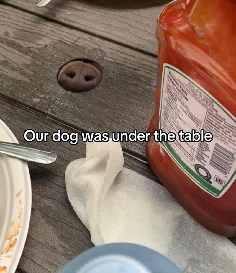 Nutritive acts Our dog was under the table