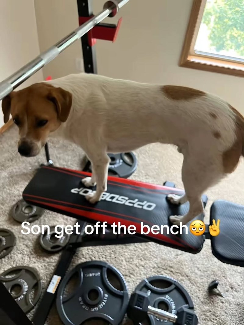 COBOSCO Son get off the bench