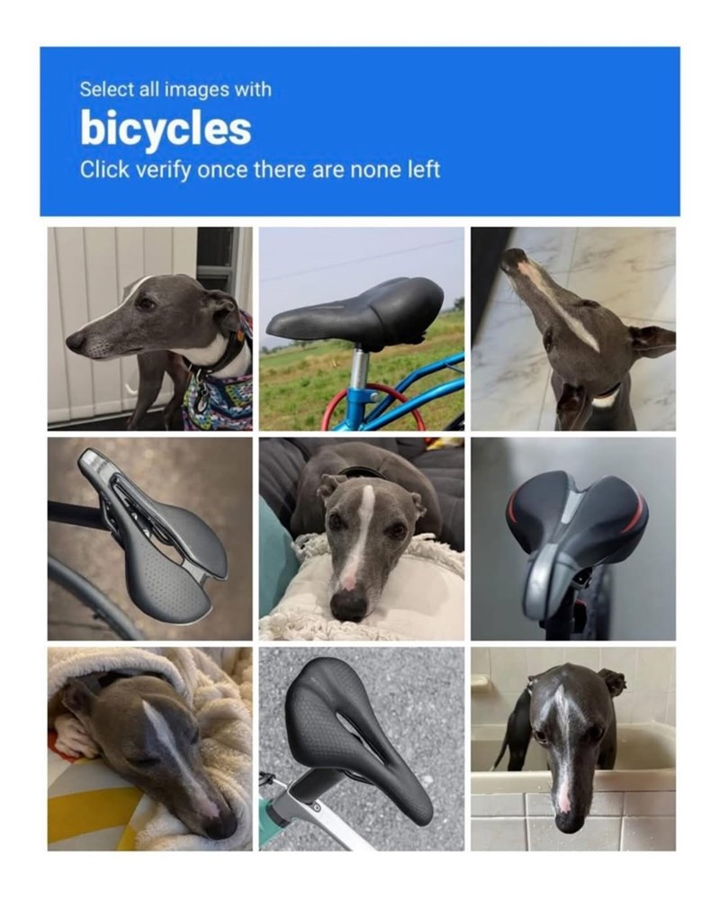Select all images with bicycles Click verify once there are none left