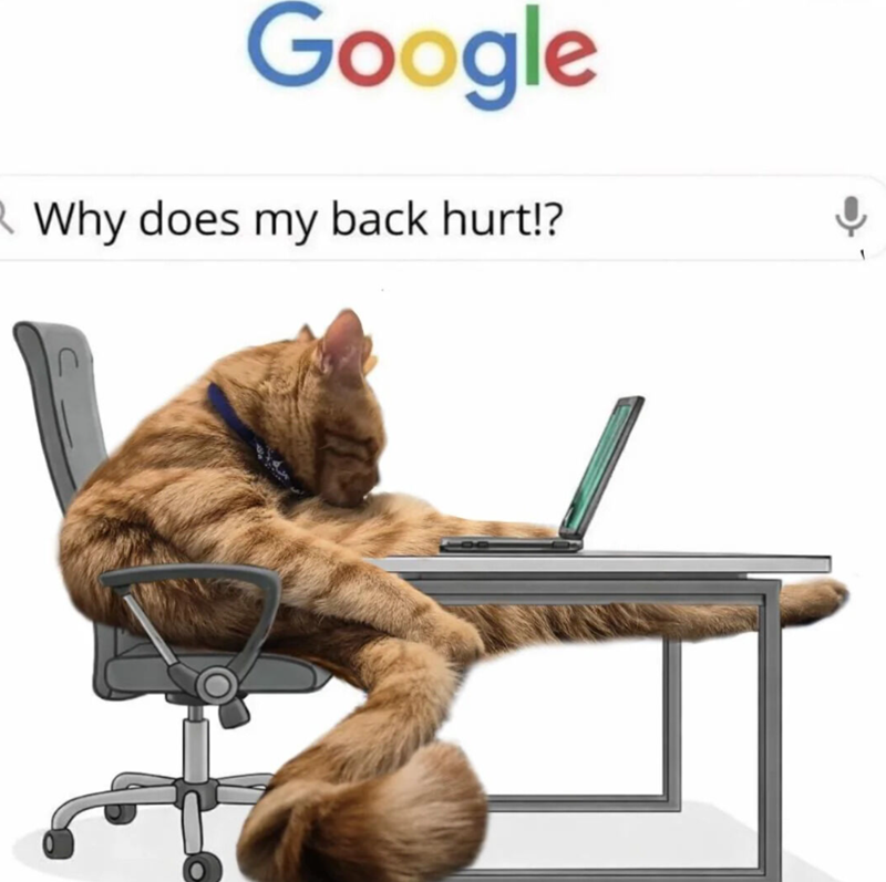 Google R. Why does my back hurt!?