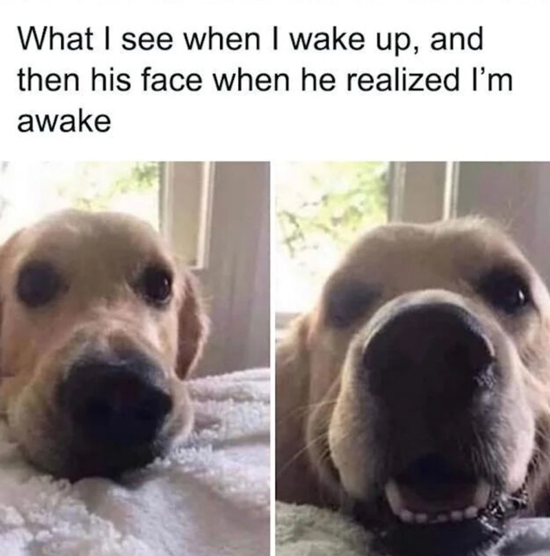 What I see when I wake up, and then his face when he realized I'm awake