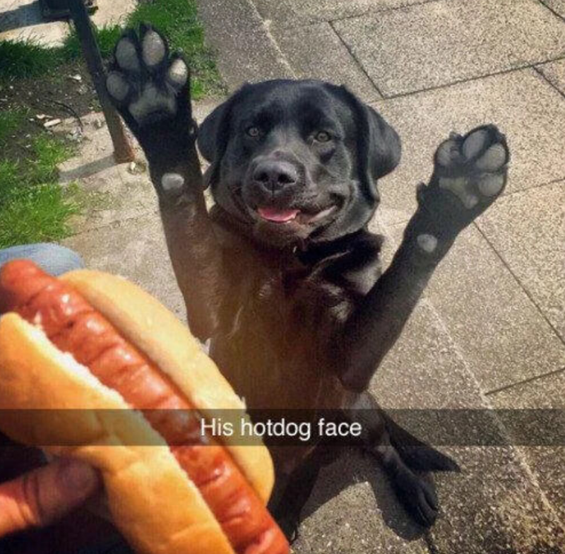 His hotdog face