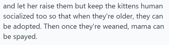 and let her raise them but keep the kittens human socialized too so that when they're older, they can be adopted. Then once they're weaned, mama can be spayed.