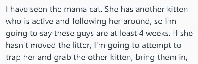 I have seen the mama cat. She has another kitten who is active and following her around, so I'm going to say these guys are at least 4 weeks. If she hasn't moved the litter, I'm going to attempt to trap her and grab the other kitten, bring them in,