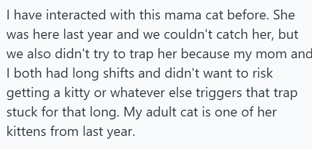 I have interacted with this mama cat before. She was here last year and we couldn't catch her, but we also didn't try to trap her because my mom and I both had long shifts and didn't want to risk getting a kitty or whatever else triggers that trap stuck for that long. My adult cat is one of her kittens from last year.