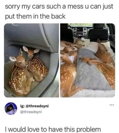sorry my cars such a mess u can just put them in the back ig: @threadsyni @threadsyni I would love to have this problem ・・・・